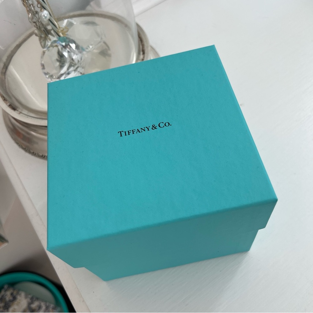 NEW Tiffany & Co Turquoise Gift Box